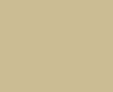 Earthy Yellow Jotun Paint 3D Model