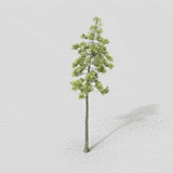 背景树03_动态
