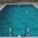 Swimming Pool 001_Dynamics