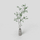 Potted plant_ dynamic