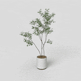 盆栽007_动态